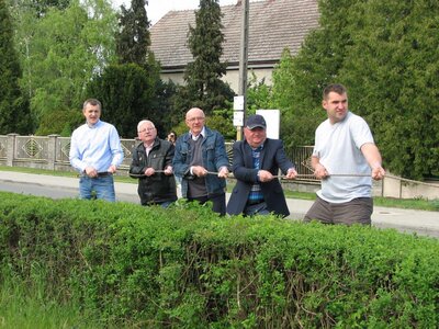 Drzewko Szczedrzyk (2)